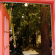 Illustration for article titled Indoor Forests Are Eco-Chic Home Accessories for a Deforested World